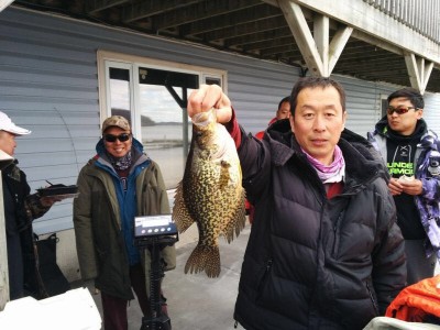 fish3.jpg