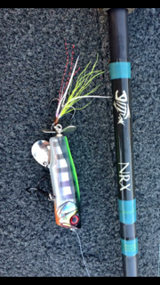 Jackall topwater.PNG