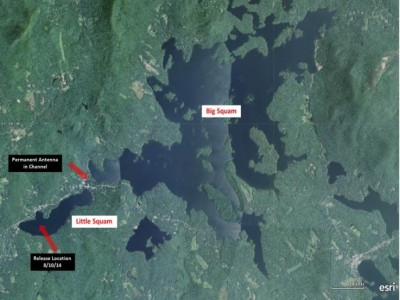 Squam up to 1-15-14 for bassmaster website - Slide 1 Lake profile.jpg