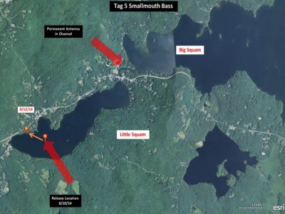 Squam up to 1-15-14 for bassmaster website - Slide 3.jpg