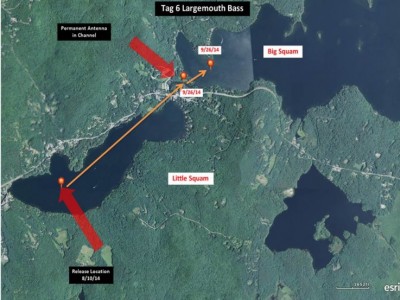 Squam up to 1-15-14 for bassmaster website - Slide 4.jpg