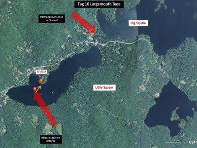 Squam up to 1-15-14 for bassmaster website - Slide 5.jpg