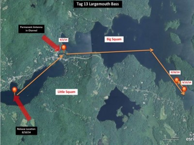 Squam up to 1-15-14 for bassmaster website - Slide 7.jpg