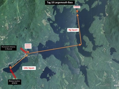 Squam up to 1-15-14 for bassmaster website - Slide 8.jpg