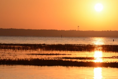 bss_3649.jpg