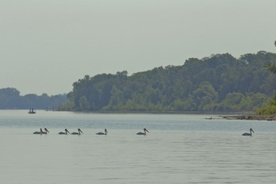 094 BestBassLakes_007_GreenBay.jpg