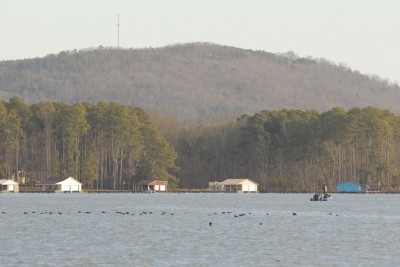 095 BestBassLakes_006_LakeGuntersville.jpg
