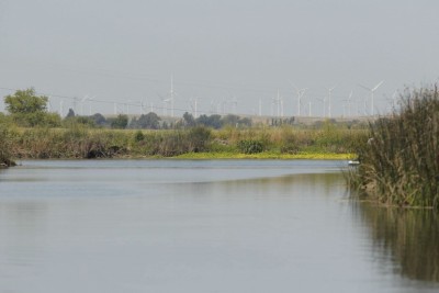 097 BestBassLakes_004_CaliDelta.jpg