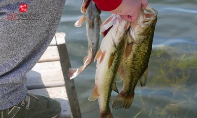 20150722CCN07.jpg