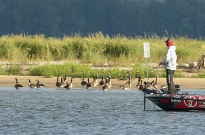 11W4A0321.jpg (130.59 KiB) 查看 8151 次 11W4A0321.jpg