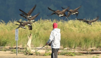 11W4A0328.jpg (97.32 KiB) 查看 8151 次 11W4A0328.jpg