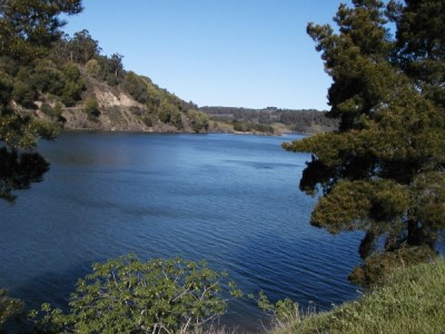 lake-chabot1.jpg
