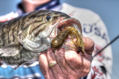 Tube-Cracking-smallies_0.jpg