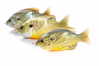 icast15_np_livetarget4.jpg
