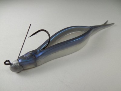 ICAST15_201 RNSAlewife.jpg