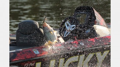 img_3343.jpg