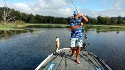 62-jeff_kreit_-_marshal.jpg (31.39 KiB) 查看 26193 次 62-jeff_kreit_-_marshal.jpg