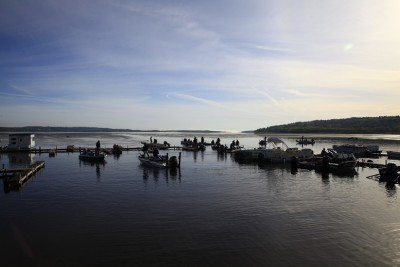 _MG_0029.JPG