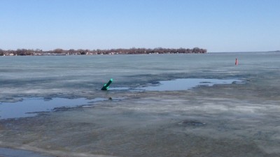 icesimcoe.jpg